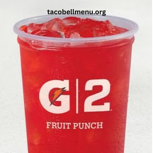 G2 Gatorade® Fruit Punch